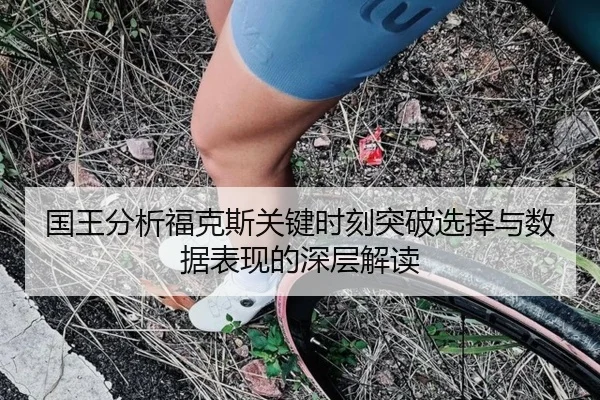 国王分析福克斯关键时刻突破选择与数据表现的深层解读