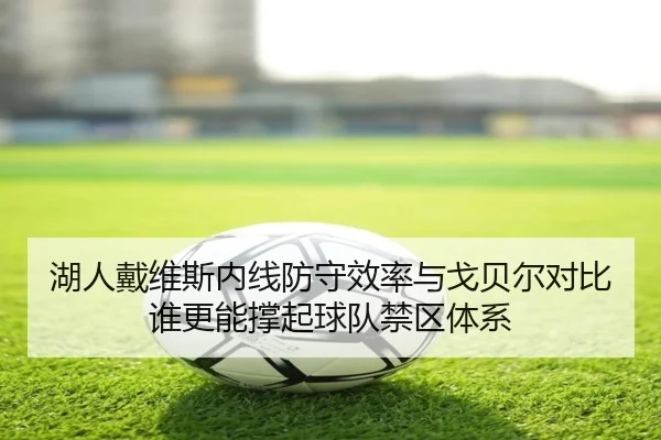 湖人戴维斯内线防守效率与戈贝尔对比谁更能撑起球队禁区体系